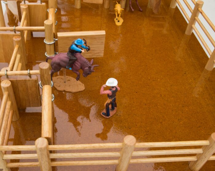 RG1 - Rodeo Grounds - Image 2